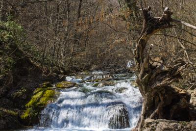 Прикрепленное изображение: IMG_7343.jpg